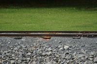 
DSC00071